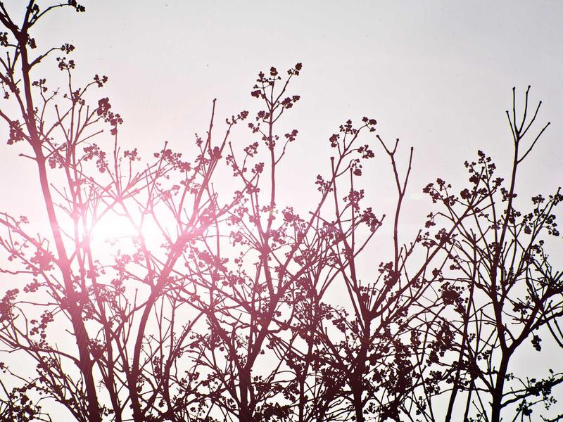 sudoku technique mastery screenshot 3