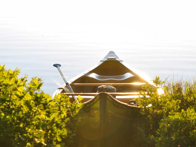 sudoku technique mastery screenshot 4