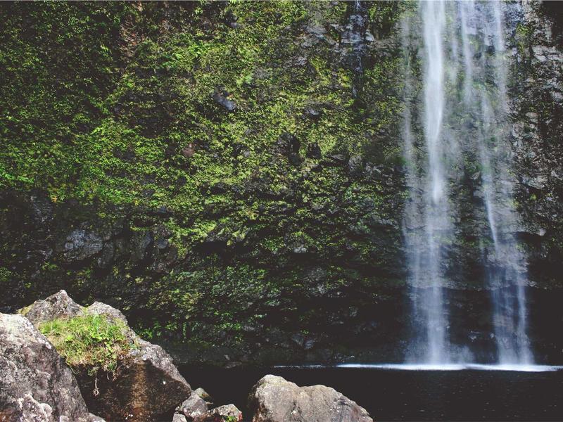 sudoku technique mastery screenshot 1